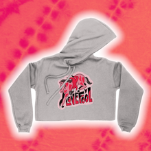 Load image into Gallery viewer, "LOVEFOOL" Cropped Hoody