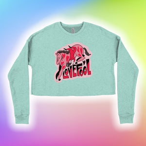 "LOVEFOOL" Pre-cropped sweater