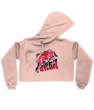 Load image into Gallery viewer, &quot;LOVEFOOL&quot; Cropped Hoody
