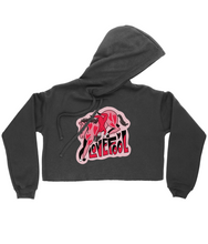 Load image into Gallery viewer, &quot;LOVEFOOL&quot; Cropped Hoody
